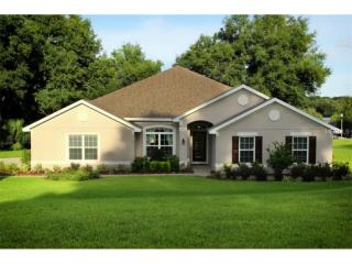 24151 Plymouth Hollow Cir, Mount Plymouth, FL 32776-9504