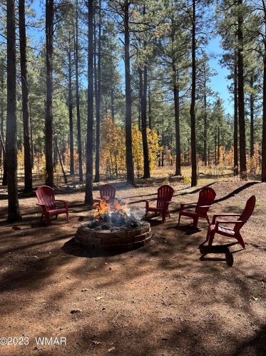 123 Sky Hi Dr, Pinetop AZ  85935-8802 exterior