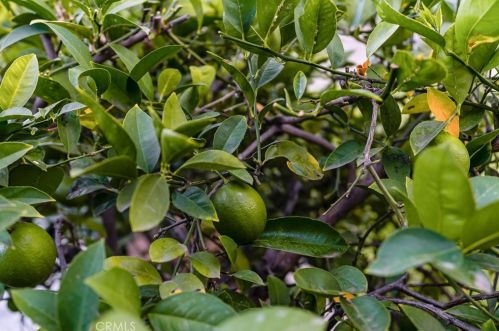 578 Prospero Dr, Covina CA  91723-3250 exterior