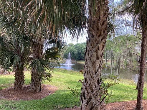 1542 Amherst Dr, Fort Pierce FL  34986-2450 exterior
