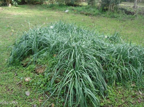 2919 Caledonia St, Marianna FL  32446-3366 exterior