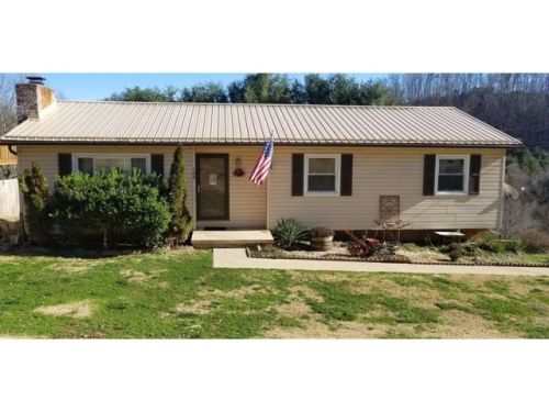 133 Lancaster Dr, Kingsport, TN 37663-3334