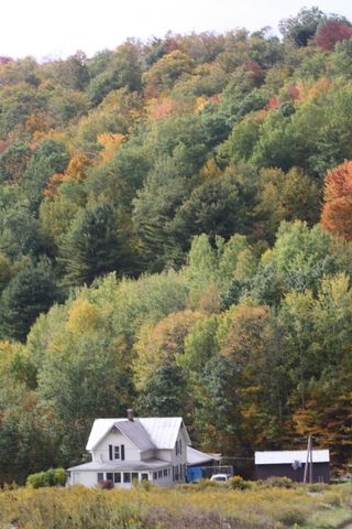 939 Wildcat Rd, Millport, PA 16748-5131