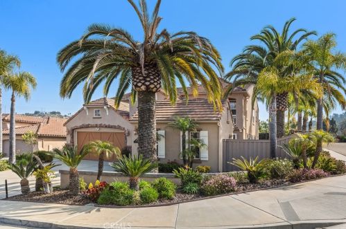 6468 Paseo Cerro, Carlsbad CA  92009-1904 exterior