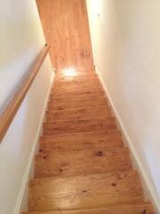 712 Albemarle St, Richmond VA  23220-6204 exterior