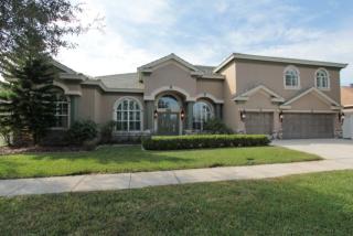 19124 Harborbridge Ln, Lutz, FL 33558-9717