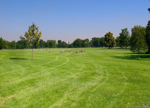 571 Williams St, Denver CO 80218-3642 exterior