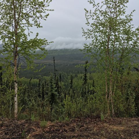 1044 Chad St, Fairbanks, AK 99712-1061