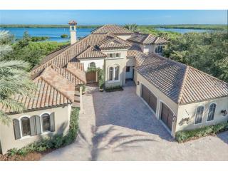 1822 Amberwynd Cir, Palmetto, FL 34221-5641