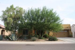 15650 Meadowbrook Ave, Goodyear, AZ 85395-6397