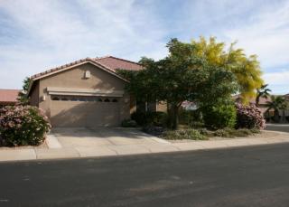 11658 Eagle Ct, Sun City, AZ 85378-2561