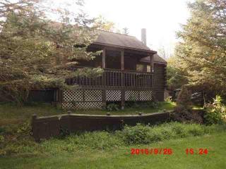 1162 State Route 443, Schoharie, NY 12157-4610