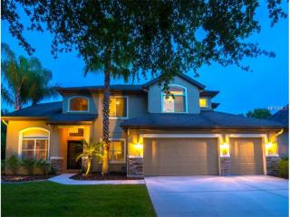 15318 Vireoglen Ln, Lithia, FL 33547-4813