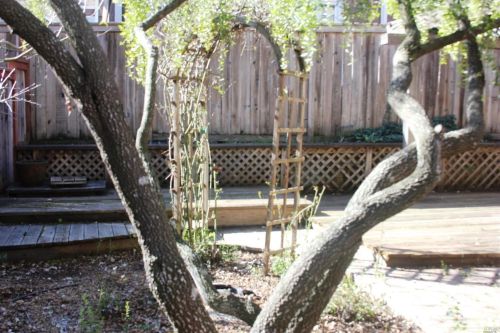 2647 Lago Oaks Dr, Santa Rosa CA  95405-9100 exterior