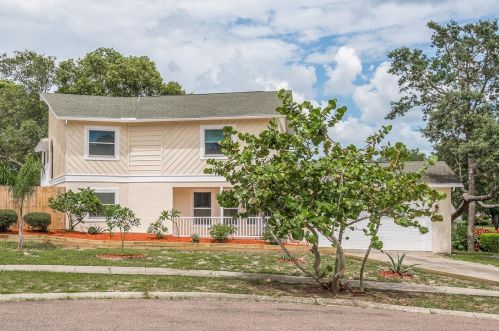 1304 Rollingwood Ct, Tarpon Springs, FL 34689-3869