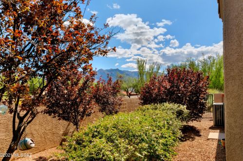 64260 Echo Canyon Ct, Tucson, AZ 85739-2019