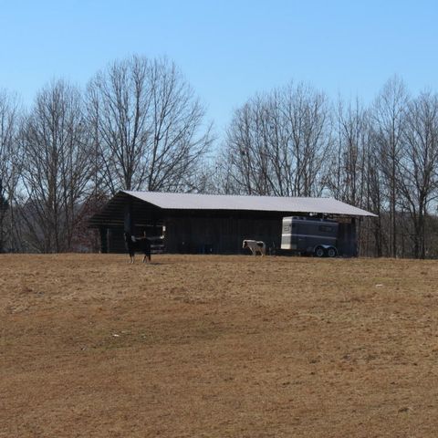 364 Powers Loop, Oakdale, TN 37829-2508