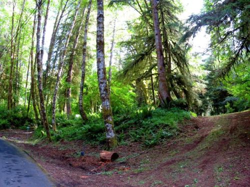 10190 Ridge View Ter, Westport, OR