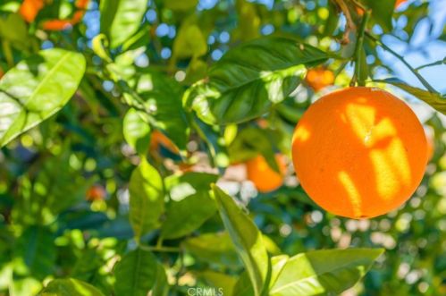 26953 Potomac Dr, Menifee CA  92586-3162 exterior