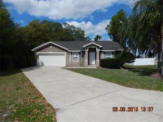 1504 Watson Oaks Ct, Lakeland, FL 33809-6864