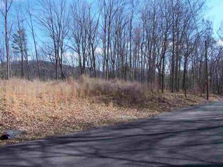 323 Chelaque Way, Mooresburg, TN 37811-2658