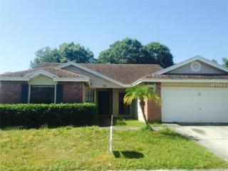 707 Hazy Meadow Ct, Brandon, FL 33510-2148