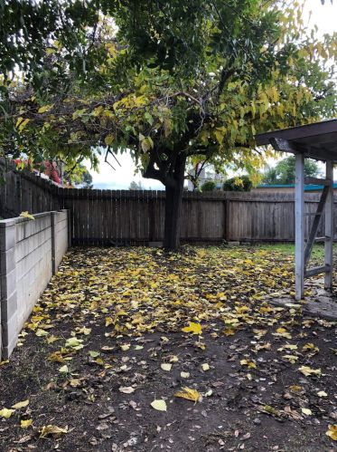 5705 Tex St, La Mesa, CA 91942-2366