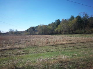 360 Elkhorn Nobles Rd, Paris, TN 38242-7973