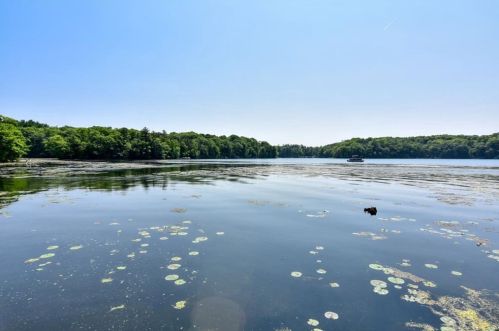 16841 County Road Dd, Birchwood, WI 54817-9151