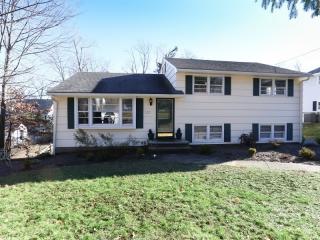 223 Hillside Ave, Chatham Township, NJ 07928-1732