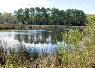 2618 Cauley Ln, Jacksonville, FL 32218-7127