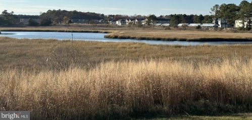 30236 Driftwood Ct, Millville, DE 19970-3980