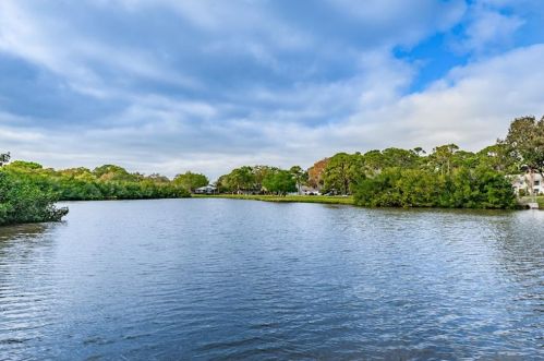125 Mystic Lake Ter, Saint Petersburg, FL 33702-6952