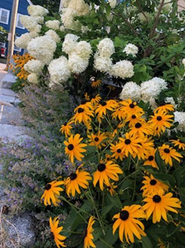 32 Pne St, Dover NH  03820-4202 exterior