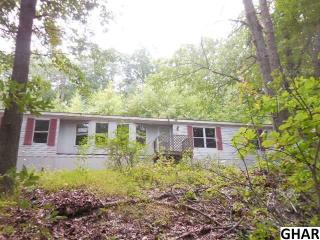 83 Chain Saw Rd, Siddonsburg PA  17019-9439 exterior