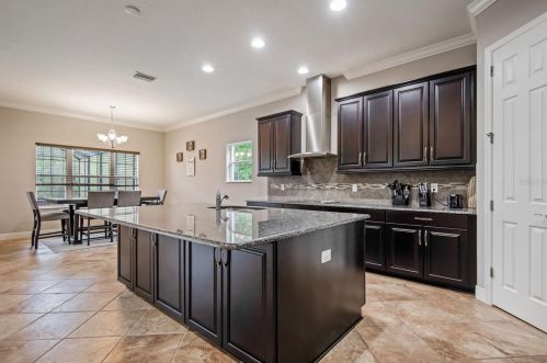 8955 Crystal Creek Ct, Land O Lakes FL  34638-6164 exterior