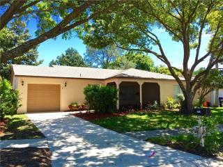 10407 Larissa St, Orlando, FL 32821-8831