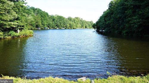 11164 Beaver Trail Ct, Herndon VA  20191-4319 exterior