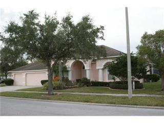 4315 Harborwatch Ln, Lutz, FL 33558-9706