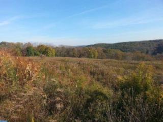 4 Woodland Dr, Brommerstown, PA 17922-9083