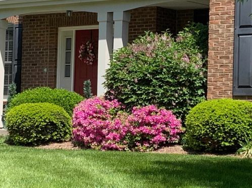 1233 Thistleridge Dr, Taylorsport KY  41048-8774 exterior