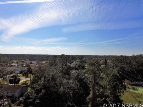 2000 Umbrella Tree Dr, Edgewater, FL 32141-3714