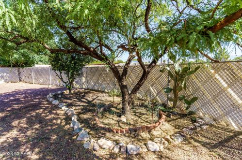 8409 Mary Dr, Tucson AZ  85730-2038 exterior