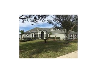 2419 Ponkan Summit Dr, Apopka, FL 32712-6415
