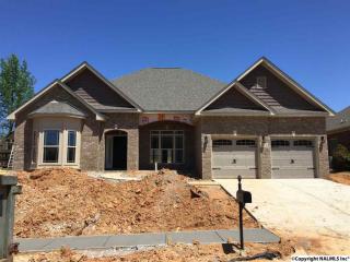 102 Castletown Ln, Madison AL  35757-6959 exterior