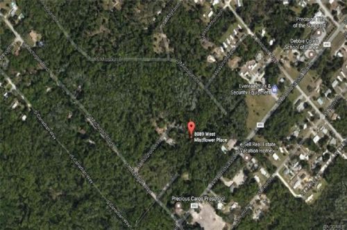 8089 Mistflower Pl, Homosassa, FL 34448-2825