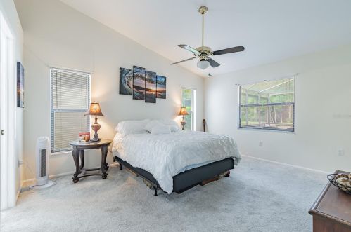 3664 Darston St, Palm Harbor FL  34685-1182 exterior