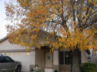 1971 Ash St, Gilbert, AZ 85233-8950