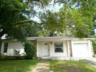 1007 Tiburon Dr, Seffner, FL 33584-5063