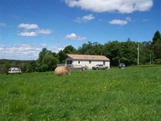 352 Breezy Hill Rd, Parksville, NY 12768-6606